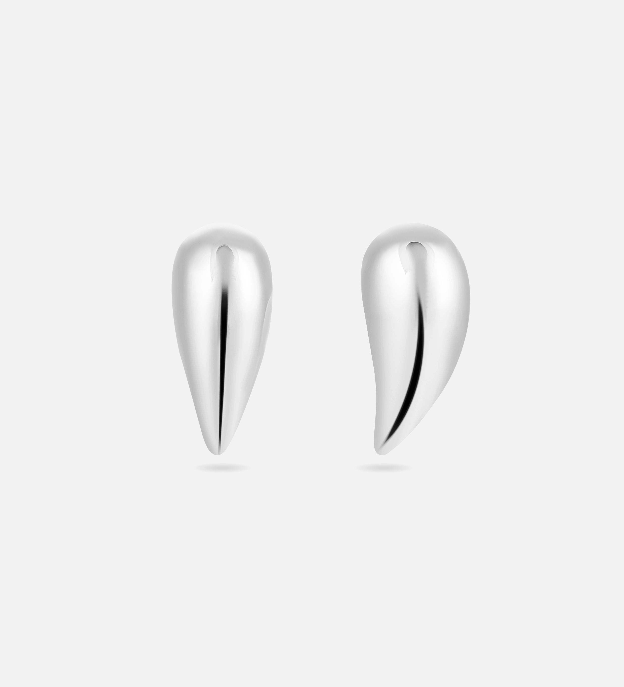 Drop Earrings in Silver