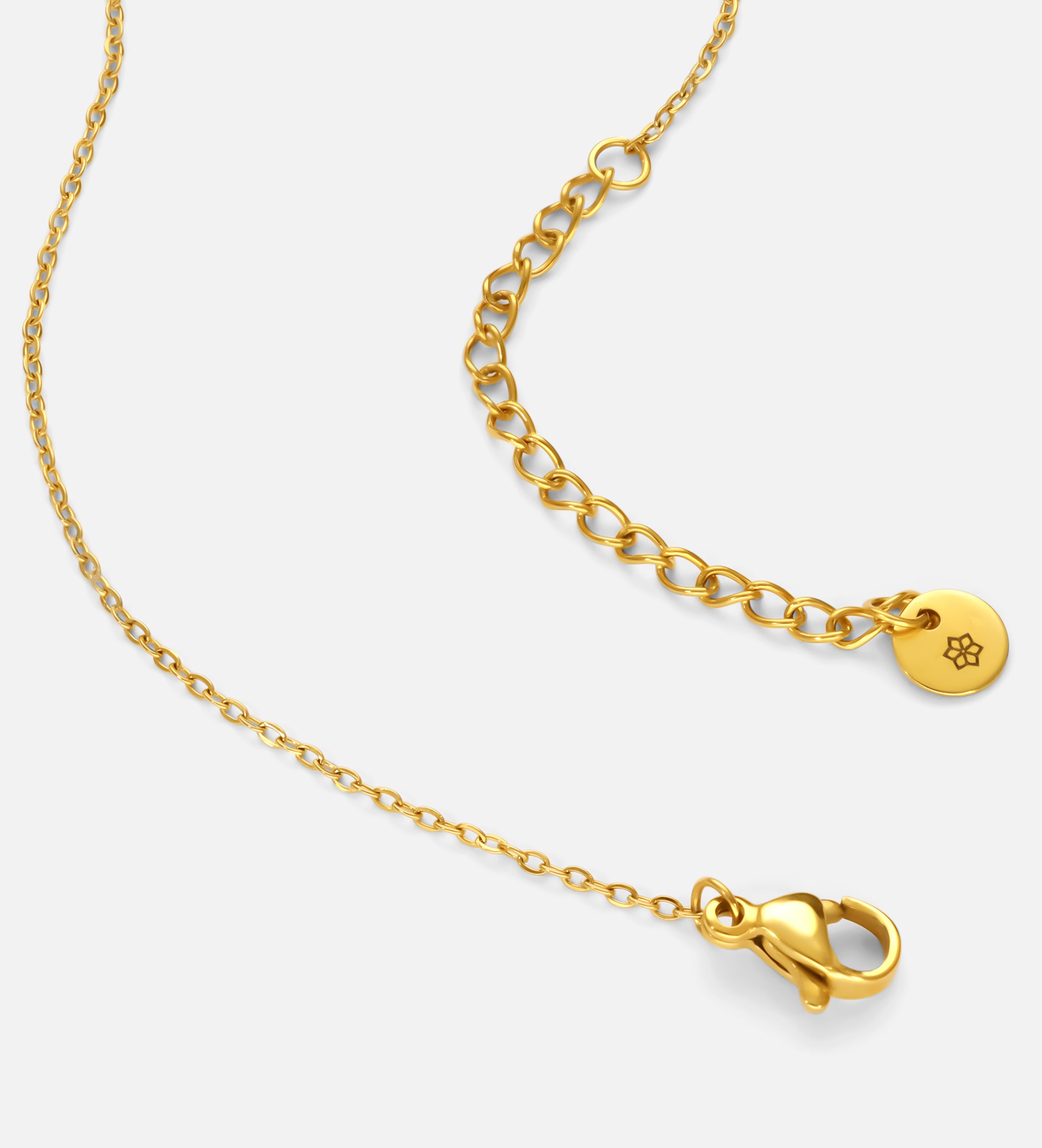 Golden Horseshoe Embrace Necklace