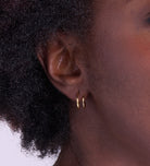 Spiral Hoops in Gold