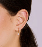 Stella Teardrop Huggies in Gold