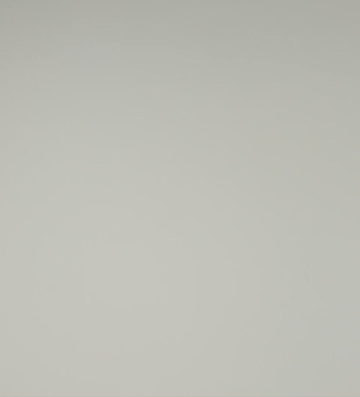 Double Band Starburst Ring in Silver