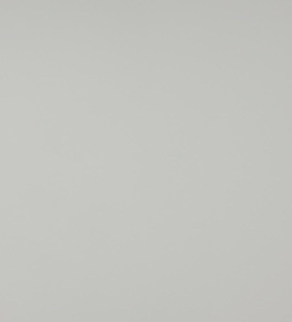 Stella Studs in Silver