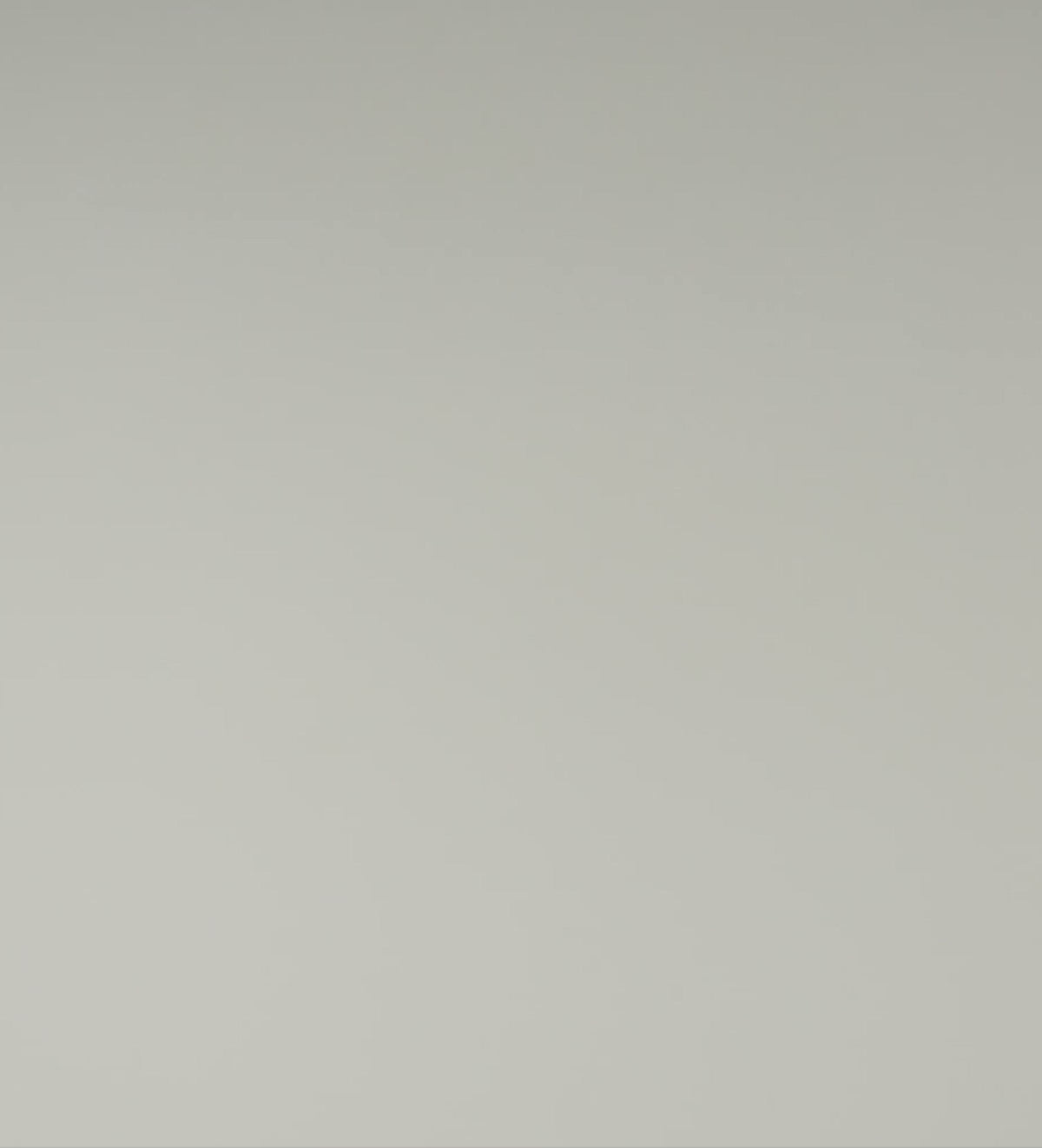 Box Chain Necklace in Silver