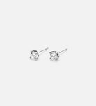 Stella Studs in Silver