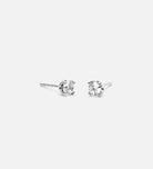 Stella Studs in Silver